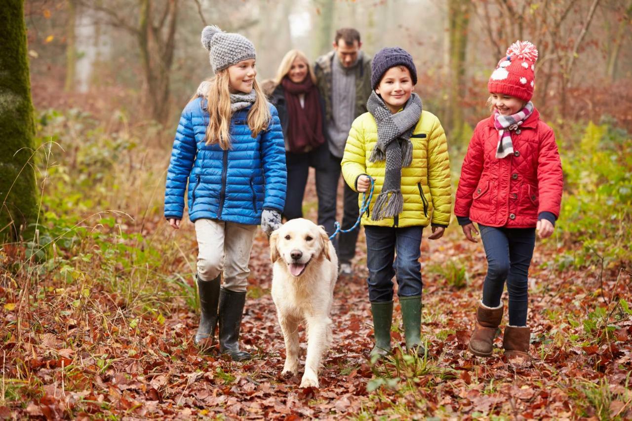 Macdonald Woodland Lodges At Macdonald Aviemore Resort Εξωτερικό φωτογραφία